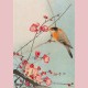 Songbird on blossom branch
